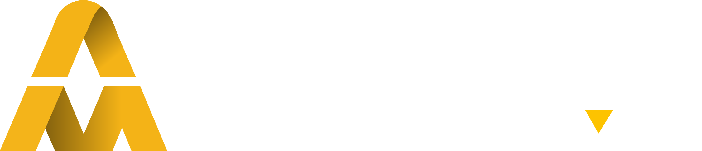 Southax Logo